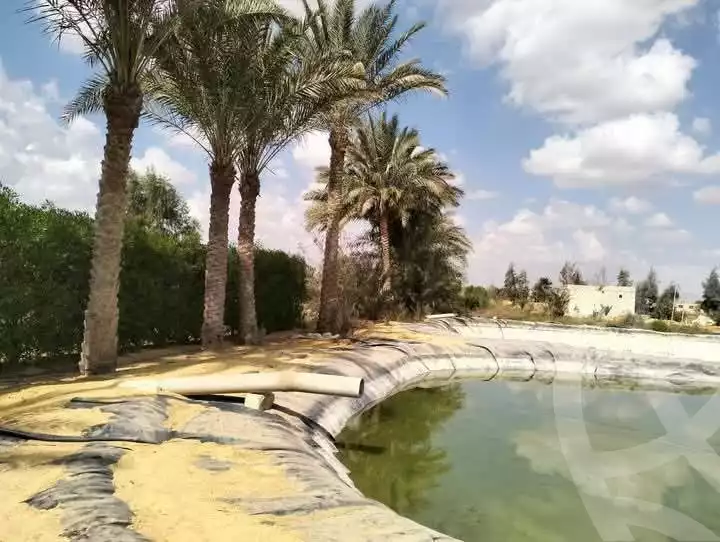 https://aqarmap.com.eg/en/listing/5874798-for-sale-ismailia-ismailia-city