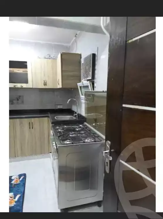 https://aqarmap.com.eg/en/listing/5875241-for-rent-cairo-manial-kwrnysh-lmnyl