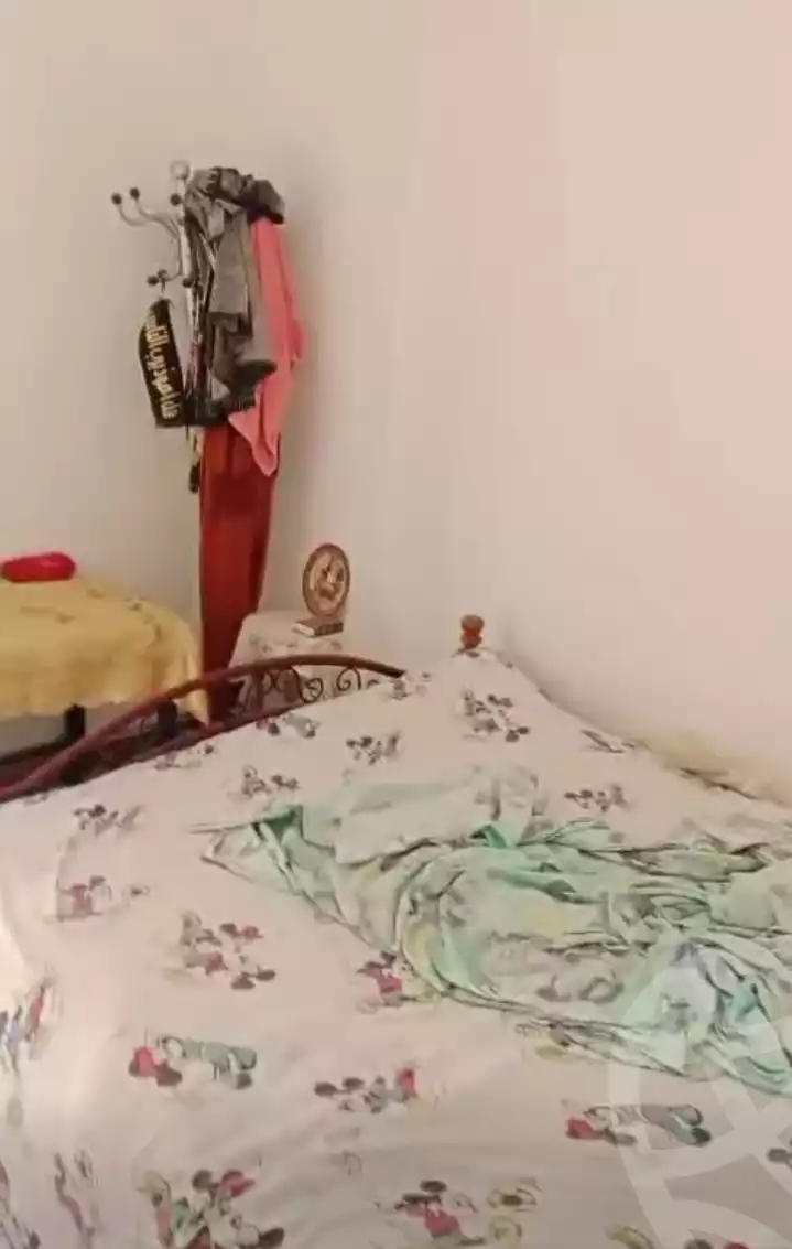 https://aqarmap.com.eg/en/listing/5875517-for-sale-alexandria-l-jmy-el-hanouvel-hussein-waly-st