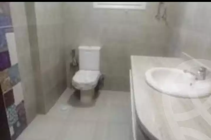 https://aqarmap.com.eg/en/listing/5878676-for-rent-cairo-dokki