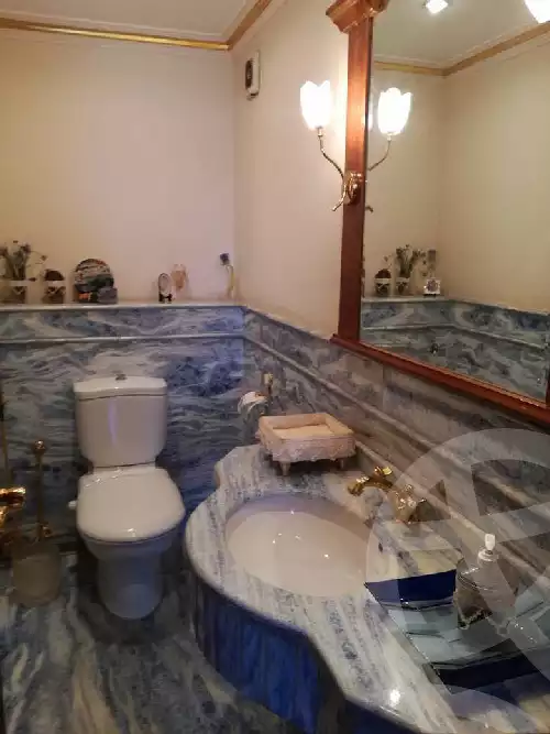 https://aqarmap.com.eg/en/listing/5878747-for-sale-cairo-al-zamalek-el-aziz-othman-st