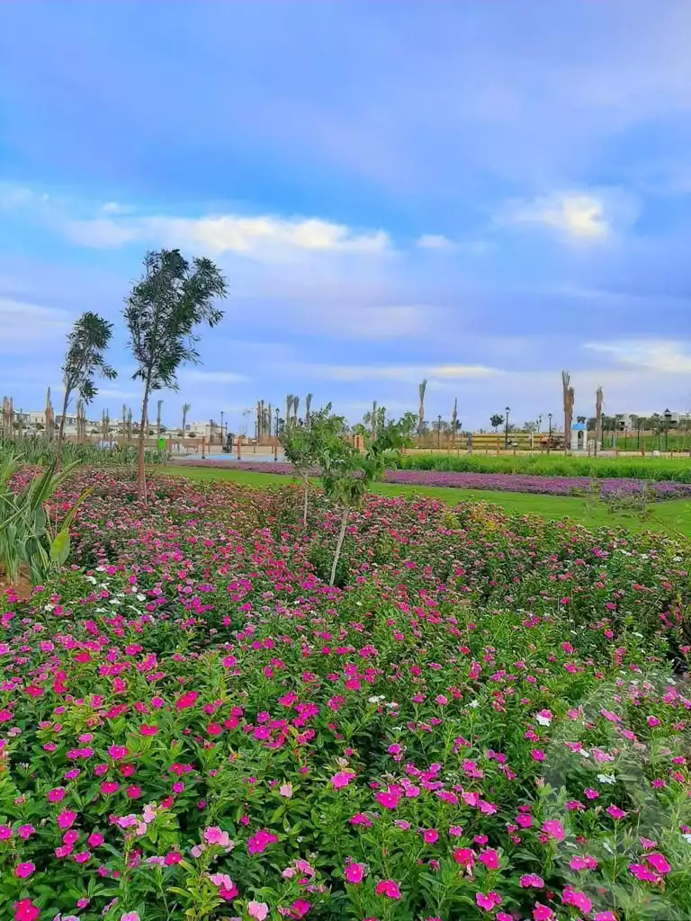 https://aqarmap.com.eg/en/listing/5879679-for-sale-cairo-new-cairo-compounds-hyde-park-greens-hyde-park-compound