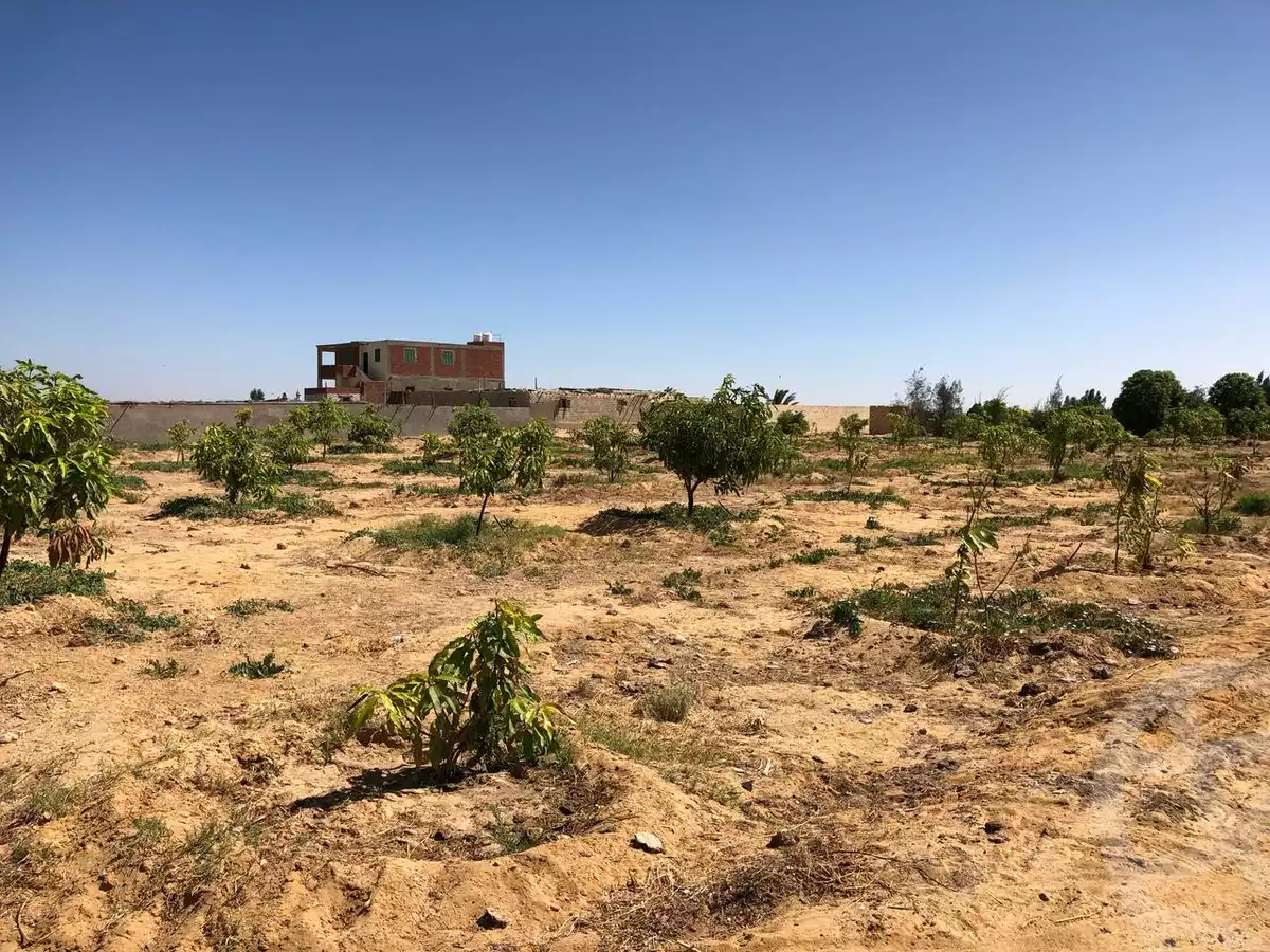 https://aqarmap.com.eg/en/listing/5886440-for-sale-suez-el-ganain-shandoura-village