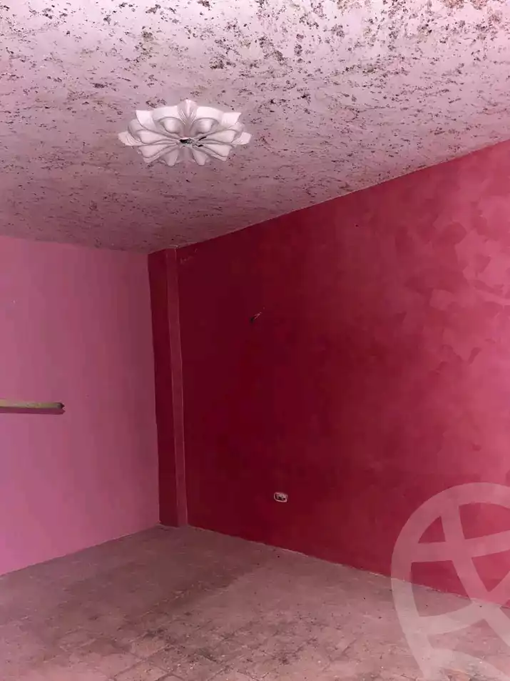 https://aqarmap.com.eg/ar/listing/5893493-for-sale-alexandria-l-jmy-lbytsh-mecca-st