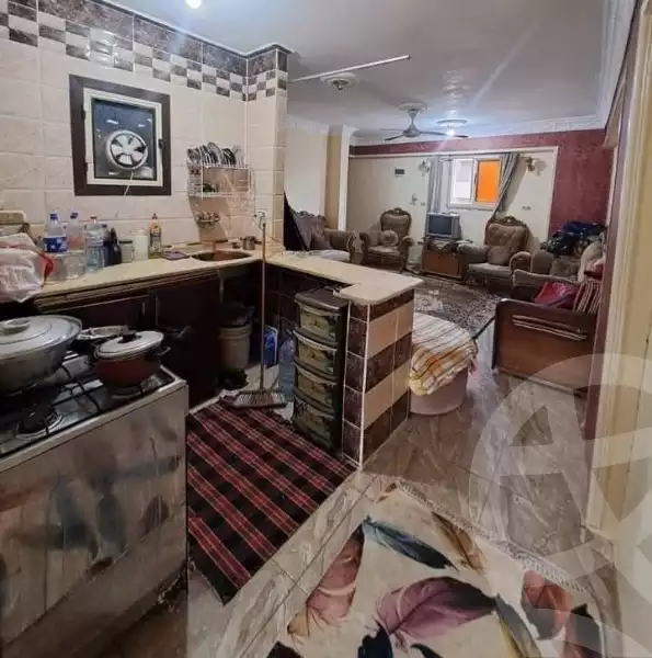 https://aqarmap.com.eg/en/listing/5895007-for-sale-alexandria-l-jmy-lbytsh-el-hanafeya-st