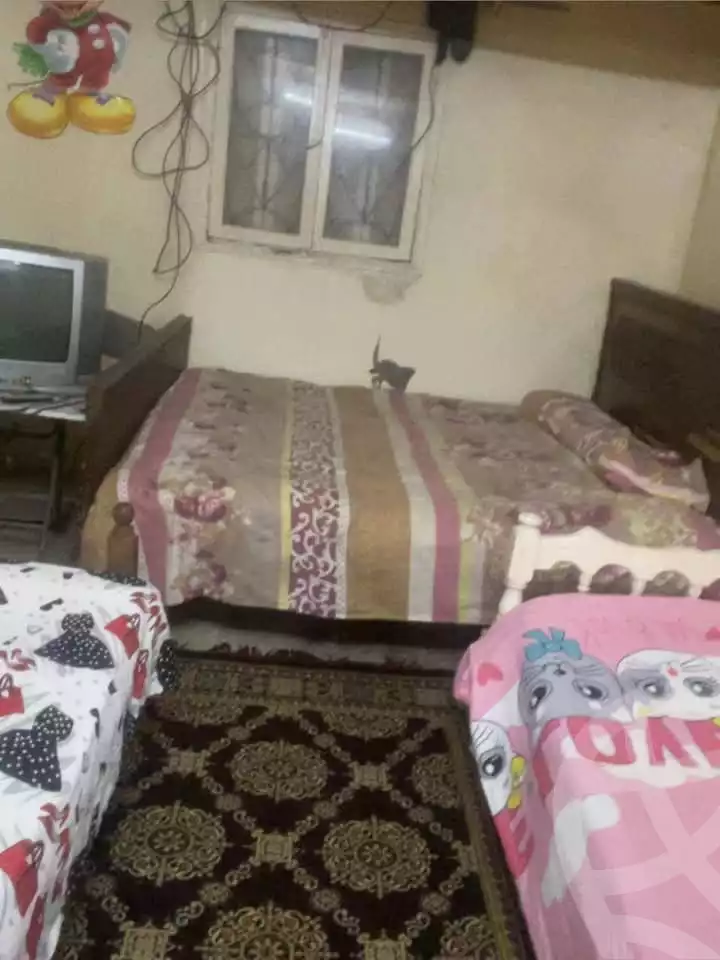 https://aqarmap.com.eg/en/listing/5895063-for-rent-cairo-el-amirya