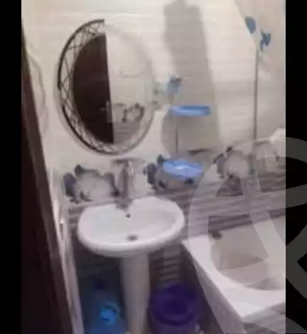 https://aqarmap.com.eg/ar/listing/5897191-for-rent-alexandria-l-jmy-el-hanouvel-el-zahraa-city-st
