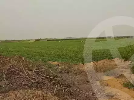https://aqarmap.com.eg/en/listing/5895430-for-sale-beheira-wadi-el-natrun
