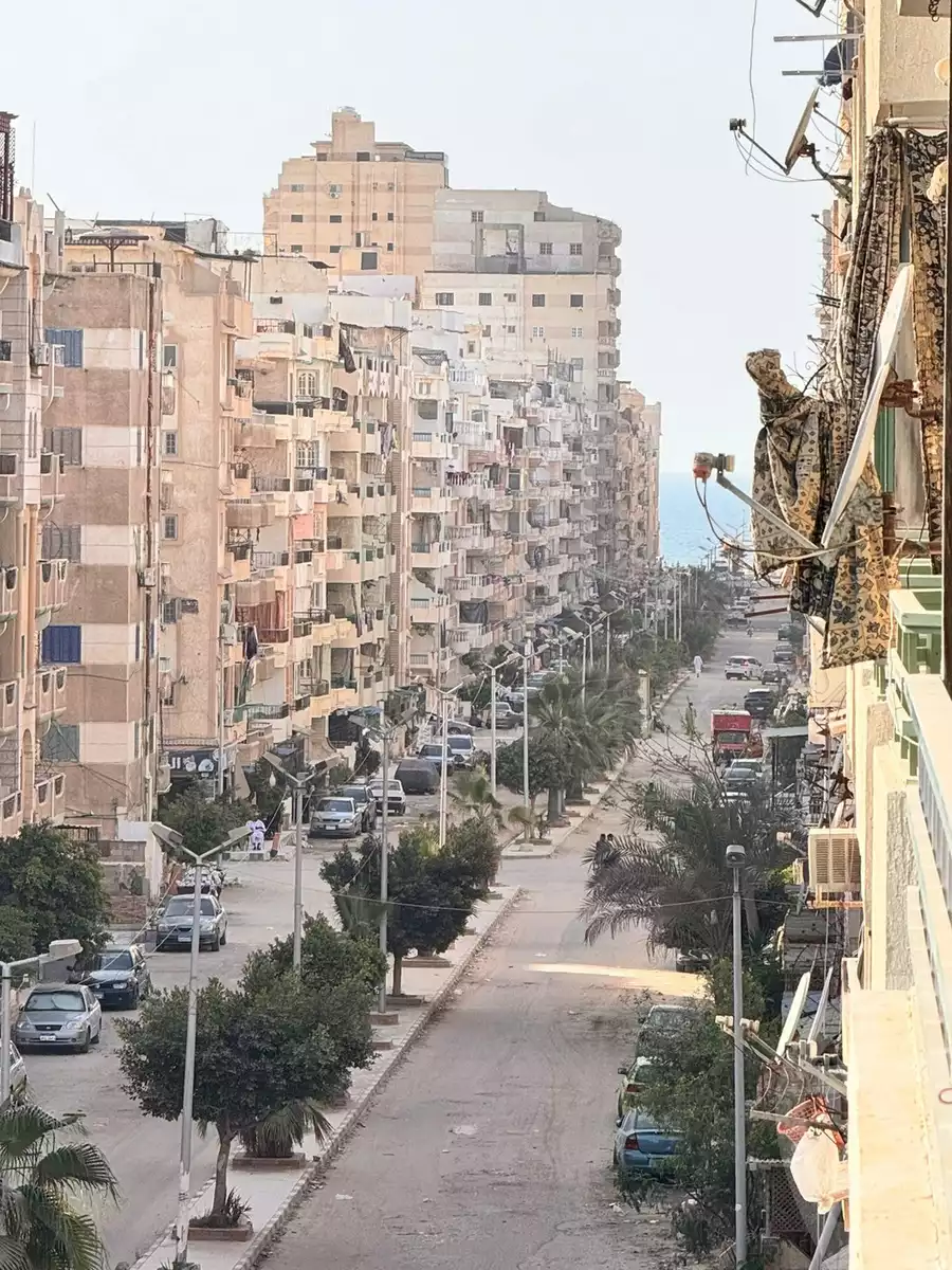 https://aqarmap.com.eg/en/listing/5900265-for-sale-alexandria-l-jmy-shataa-el-nakheel-street-63