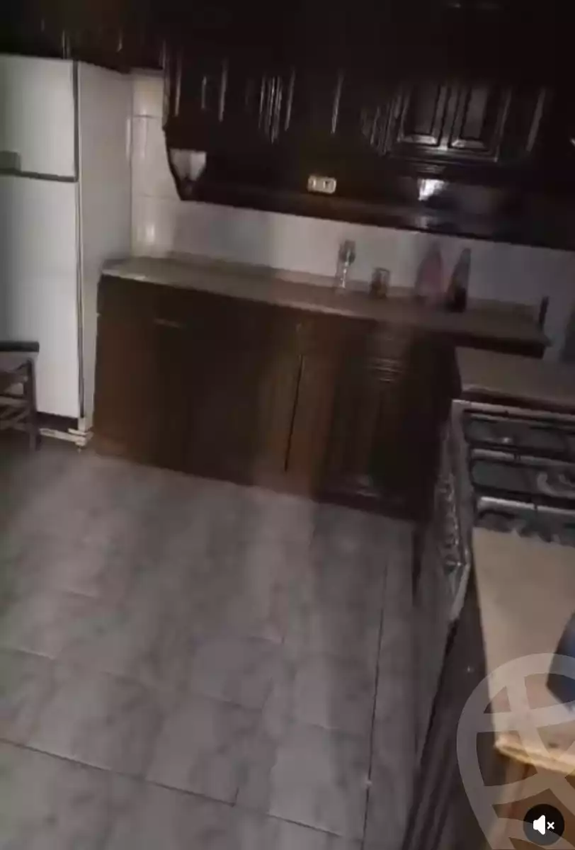 https://aqarmap.com.eg/en/listing/5901276-for-rent-cairo-heliopolis-triumph-square-nakhla-al-motieai-st