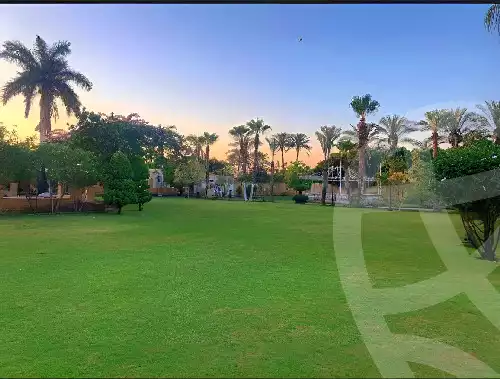 https://aqarmap.com.eg/en/listing/5902466-for-sale-cairo-el-mansuriyyah-el-saliba