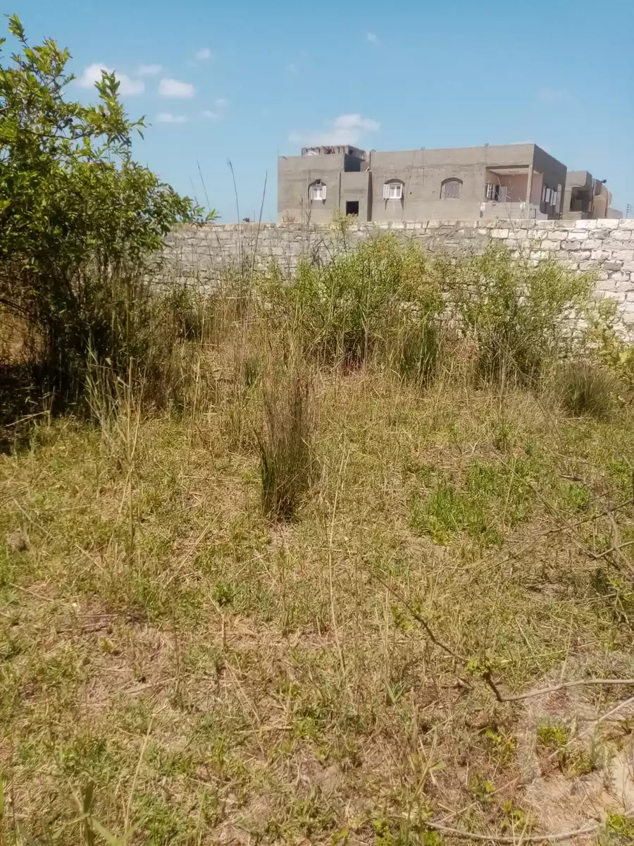 https://aqarmap.com.eg/en/listing/5903432-for-sale-kafr-el-sheikh-burullus-baltim-el-borg-way