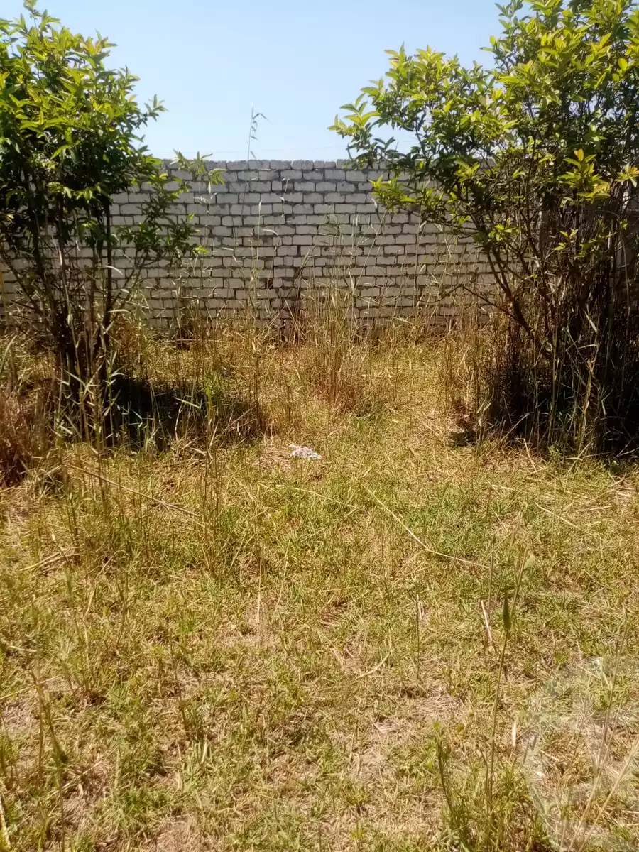 https://aqarmap.com.eg/en/listing/5903432-for-sale-kafr-el-sheikh-burullus-baltim-el-borg-way