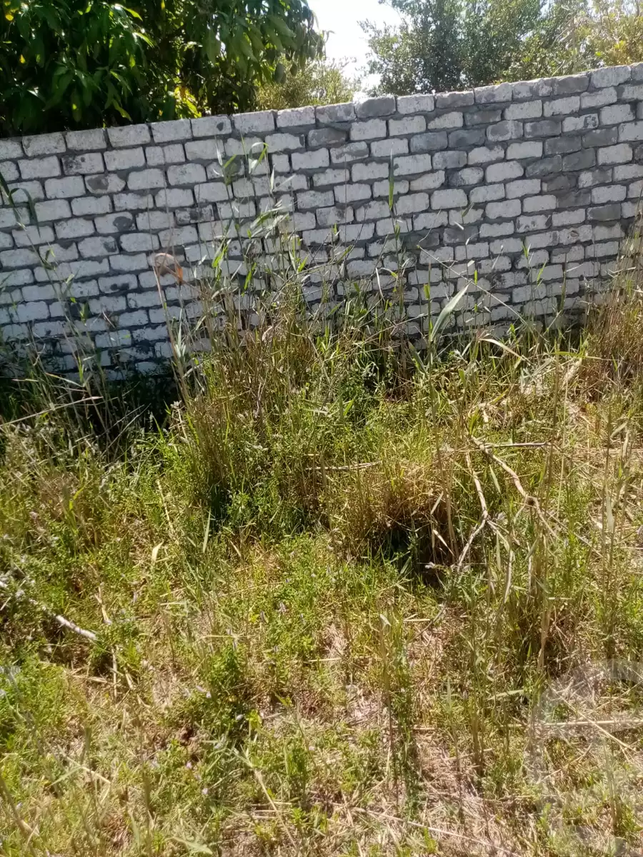 https://aqarmap.com.eg/en/listing/5903432-for-sale-kafr-el-sheikh-burullus-baltim-el-borg-way