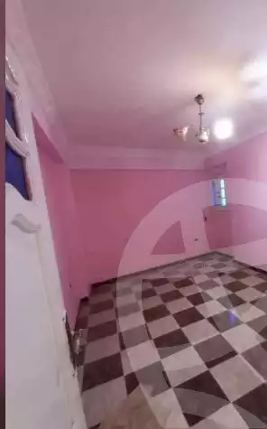 https://aqarmap.com.eg/en/listing/5905131-for-sale-alexandria-l-jmy-lbytsh-al-kaada-st