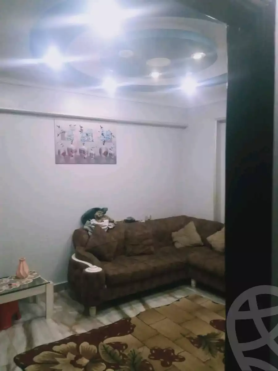 https://aqarmap.com.eg/en/listing/5905573-for-sale-alexandria-l-jmy-lbytsh-el-hoda-st