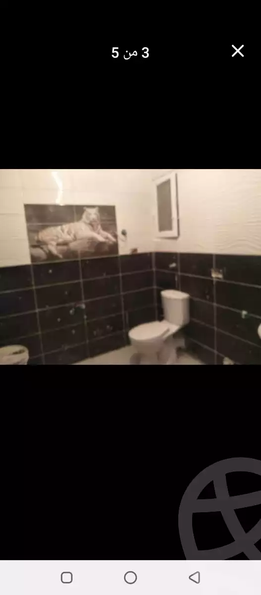 https://aqarmap.com.eg/en/listing/5912911-for-rent-alexandria-l-jmy-lbytsh-el-hay-st