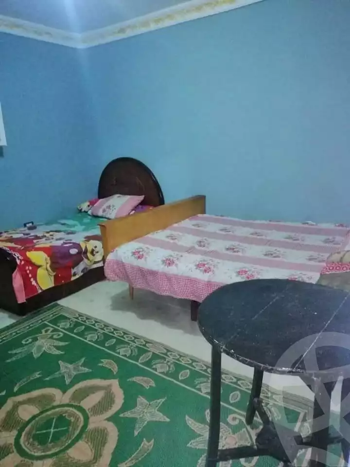 https://aqarmap.com.eg/en/listing/5922230-for-rent-alexandria-l-jmy-el-hanouvel-rich-home-st