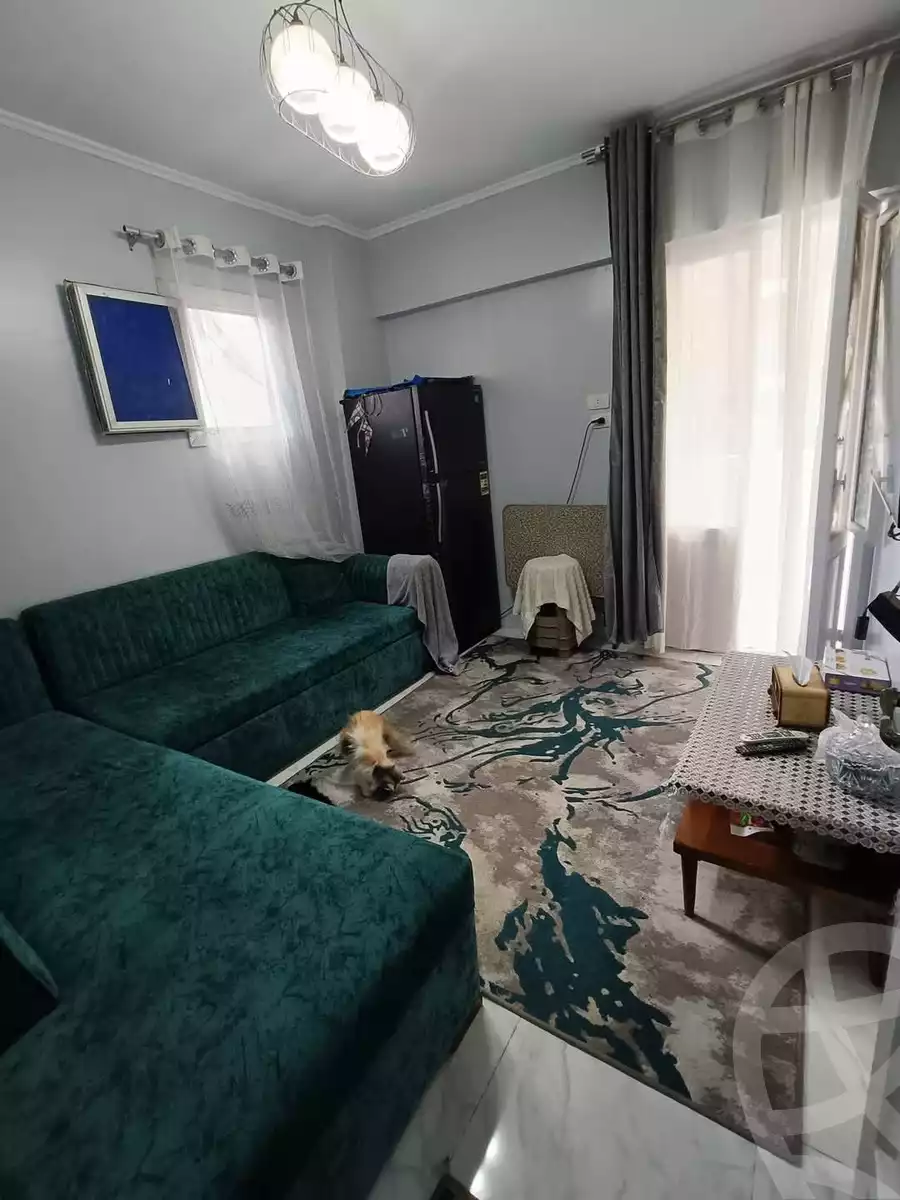 https://aqarmap.com.eg/en/listing/5922830-for-sale-alexandria-el-zaherya-hagar-el-nawateyah