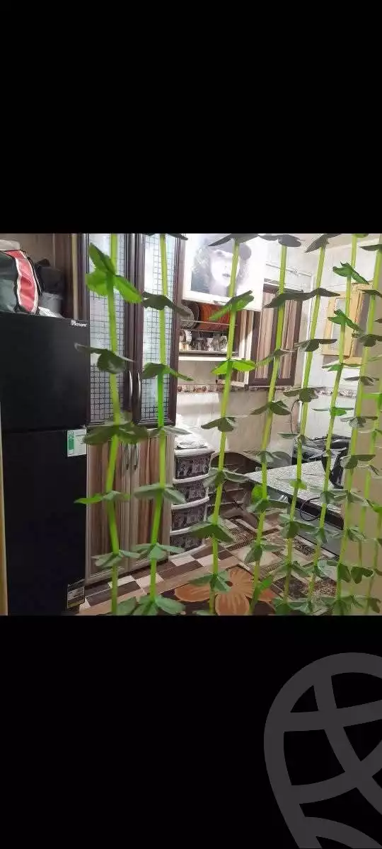 https://aqarmap.com.eg/en/listing/5925623-for-sale-alexandria-l-jmy-bw-ywsf