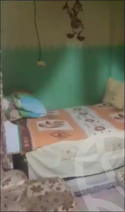 https://aqarmap.com.eg/en/listing/5926034-for-sale-cairo-imbaba-ard-el-gameaya