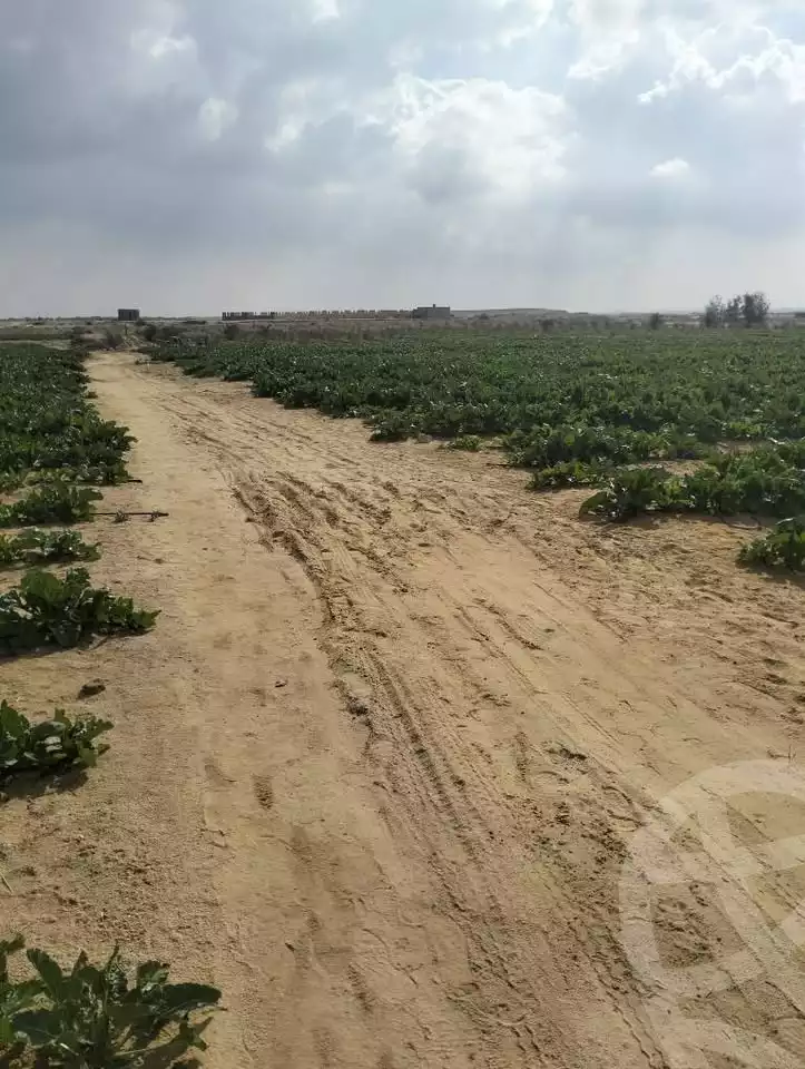 https://aqarmap.com.eg/en/listing/5926582-for-sale-beheira-wadi-el-natrun