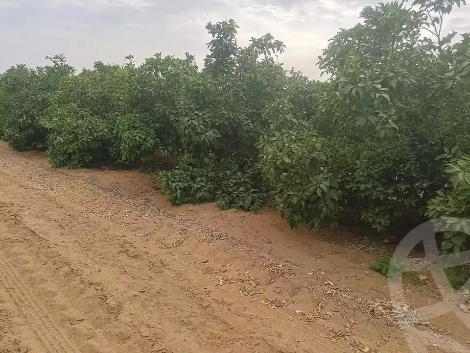 https://aqarmap.com.eg/en/listing/5926588-for-sale-alexandria-cairo-alexandria-desert-road