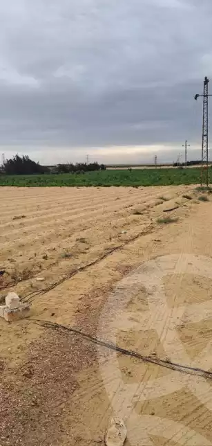 https://aqarmap.com.eg/en/listing/5926608-for-sale-alexandria-cairo-alexandria-desert-road