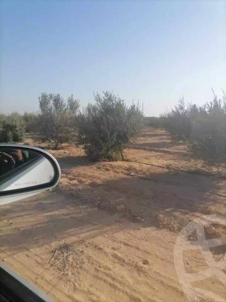 https://aqarmap.com.eg/ar/listing/5926625-for-sale-beheira-wadi-el-natrun