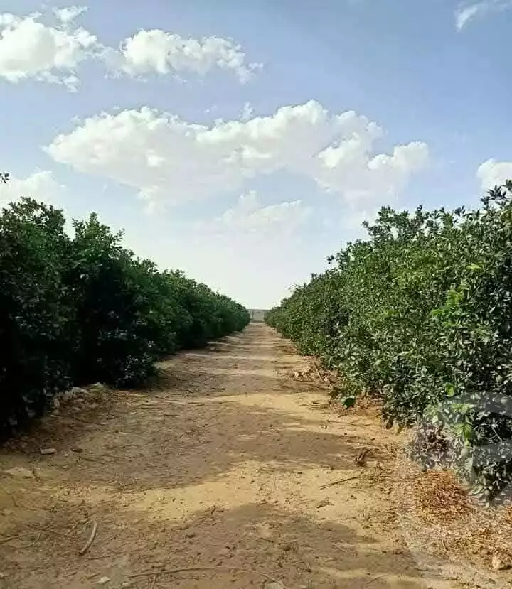 https://aqarmap.com.eg/en/listing/5926696-for-sale-beheira-wadi-el-natrun