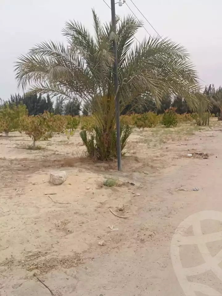 https://aqarmap.com.eg/en/listing/5926709-for-sale-beheira-wadi-el-natrun-bany-salama
