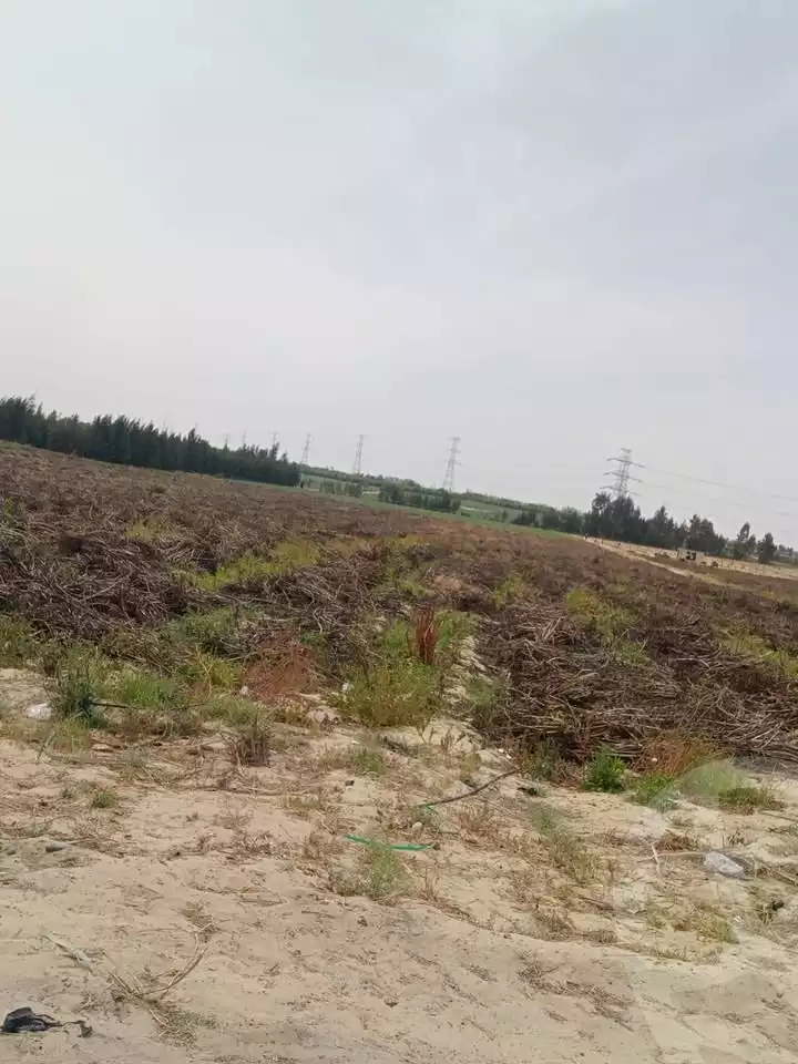 https://aqarmap.com.eg/en/listing/5926709-for-sale-beheira-wadi-el-natrun-bany-salama