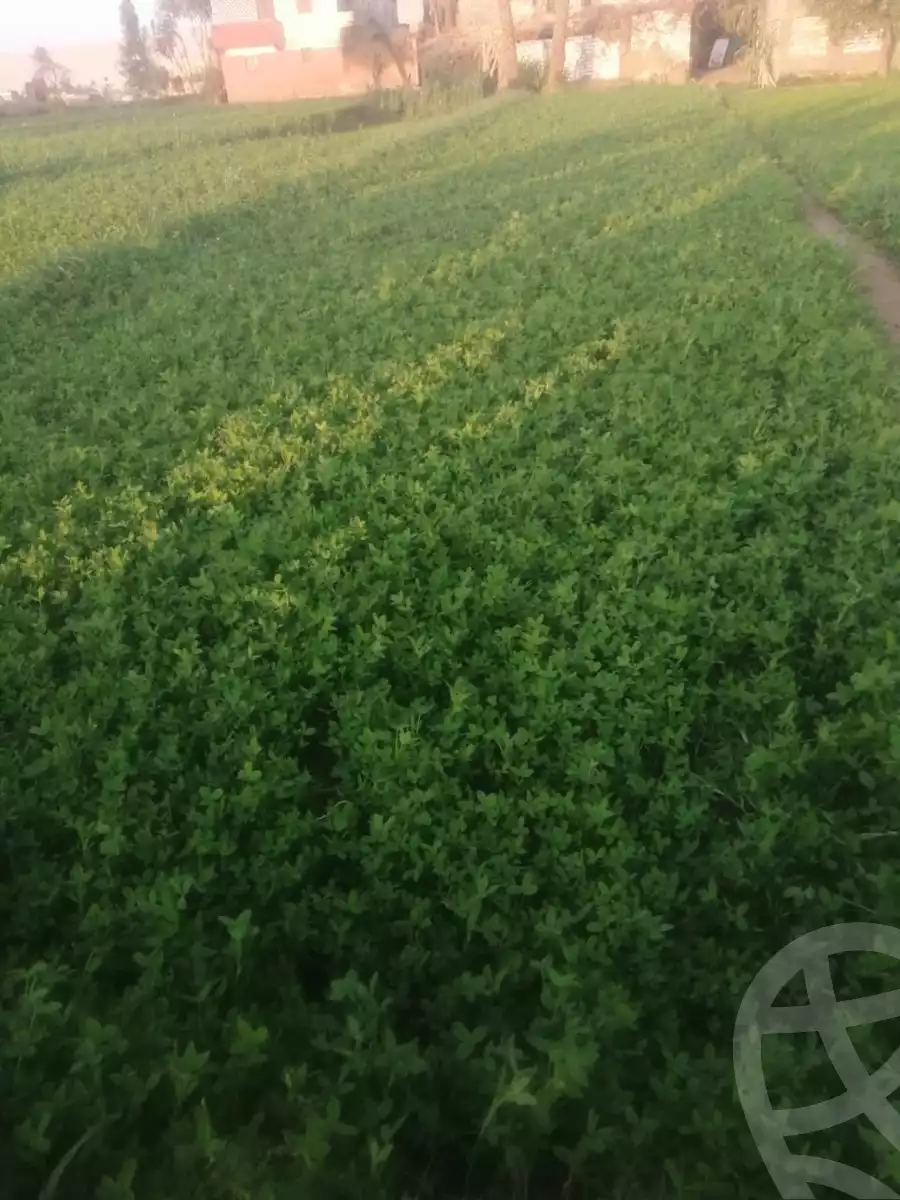 https://aqarmap.com.eg/en/listing/5926739-for-sale-alexandria-cairo-alexandria-desert-road