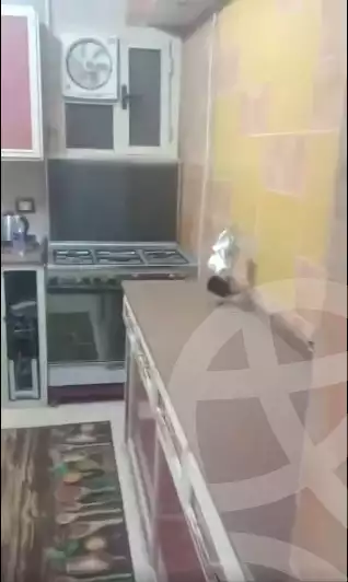 https://aqarmap.com.eg/en/listing/5929402-for-sale-cairo-helwan-hadayek-helwan