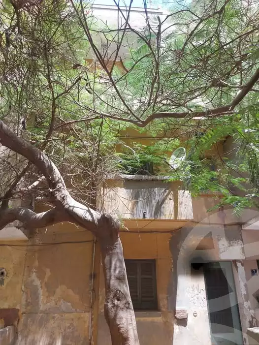 https://aqarmap.com.eg/en/listing/5930079-for-sale-cairo-helwan-mnshy-yn-hlwn
