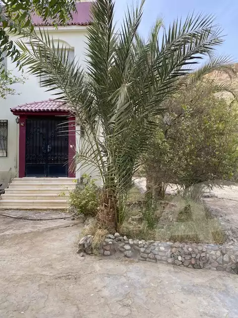https://aqarmap.com.eg/en/listing/5929671-for-sale-red-sea-hurghada-resorts-mbrk-2