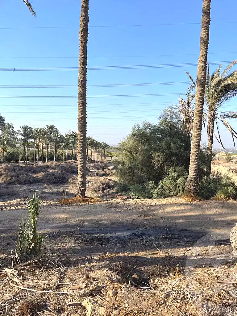 https://aqarmap.com.eg/en/listing/5936437-for-sale-cairo-ljyz