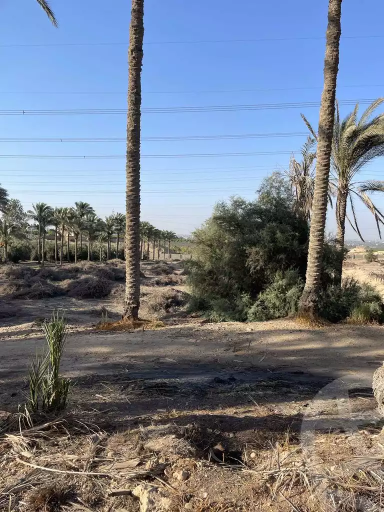 https://aqarmap.com.eg/en/listing/5936450-for-sale-cairo-ljyz