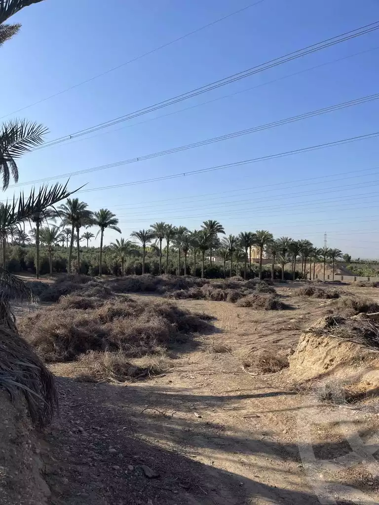 https://aqarmap.com.eg/ar/listing/5938145-for-sale-cairo-el-mansuriyyah-el-saliba