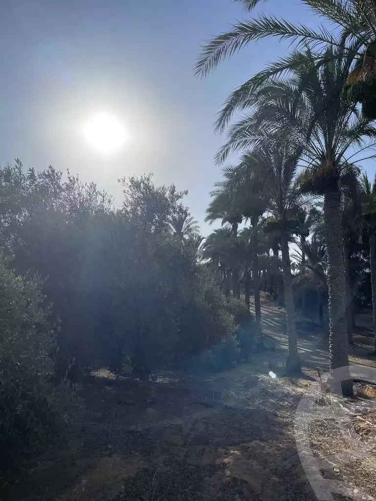 https://aqarmap.com.eg/en/listing/5938214-for-sale-cairo-el-mansuriyyah-el-saliba