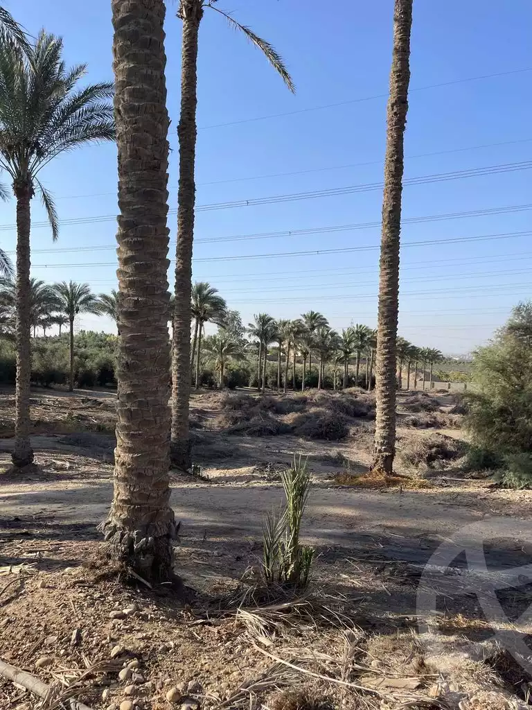https://aqarmap.com.eg/en/listing/5938214-for-sale-cairo-el-mansuriyyah-el-saliba