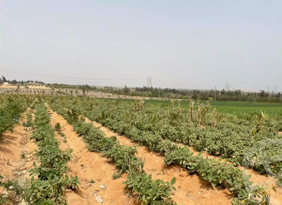 https://aqarmap.com.eg/ar/listing/5938219-for-sale-alexandria-cairo-alexandria-desert-road