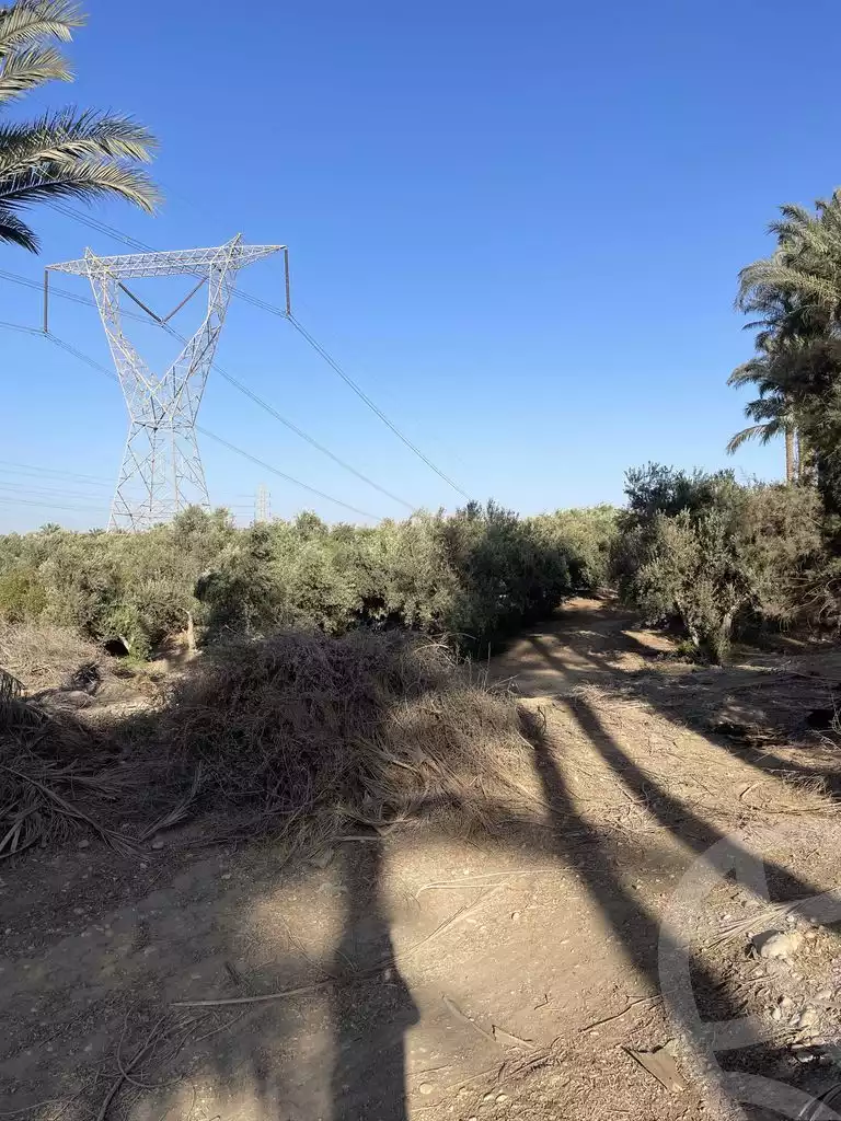 https://aqarmap.com.eg/ar/listing/5938627-for-sale-cairo-el-mansuriyyah-el-saliba