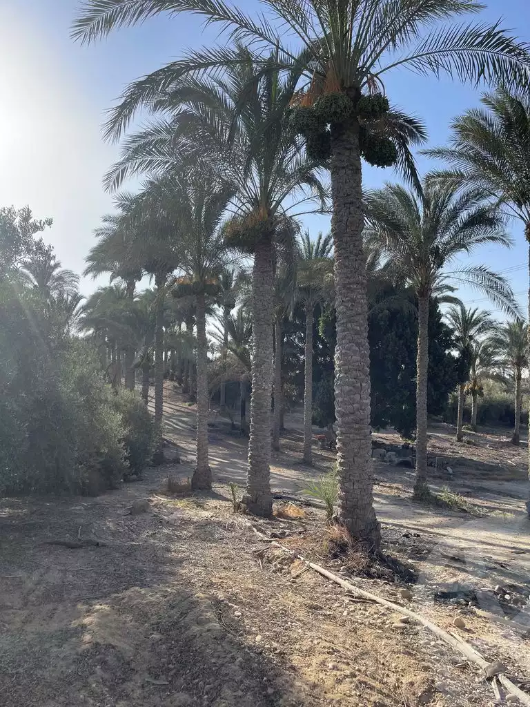 https://aqarmap.com.eg/ar/listing/5938973-for-sale-cairo-ljyz