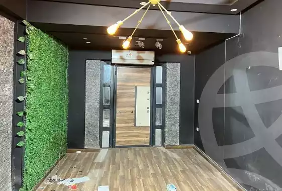 https://aqarmap.com.eg/en/listing/5941386-for-rent-cairo-heliopolis