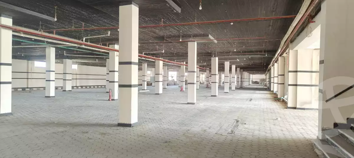 https://aqarmap.com.eg/en/listing/5943974-for-rent-cairo-el-sheikh-zayed-city