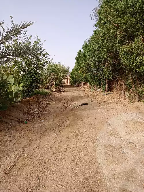 https://aqarmap.com.eg/en/listing/5943978-for-sale-suez-el-ganain-geneffe