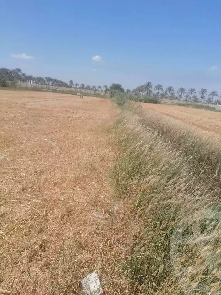 https://aqarmap.com.eg/en/listing/5944784-for-sale-alexandria-cairo-alexandria-desert-road