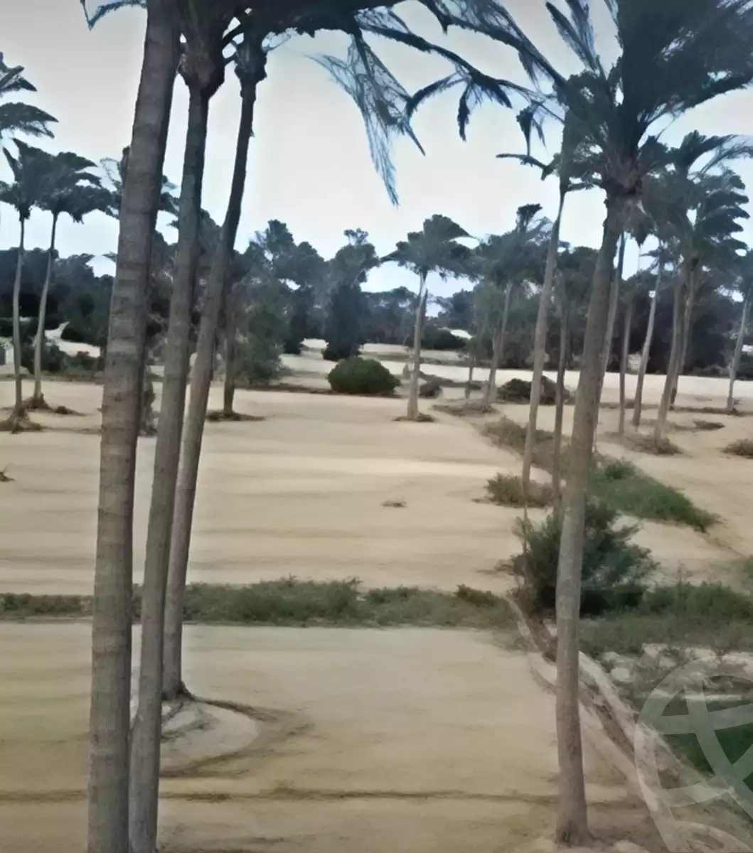 https://aqarmap.com.eg/ar/listing/5945409-for-sale-alexandria-borg-el-arab