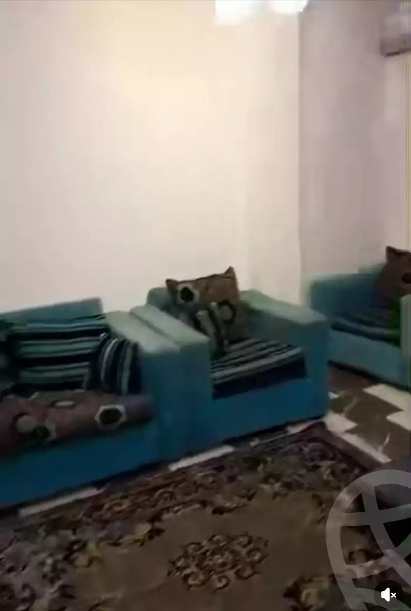 https://aqarmap.com.eg/en/listing/5946237-for-sale-cairo-faisal-kafr-tohormos